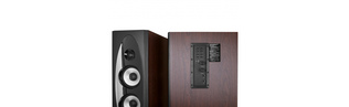 acoustics 2.0 F&D T-60X Wooden acoustics 2.0 F&D T-60X Wooden